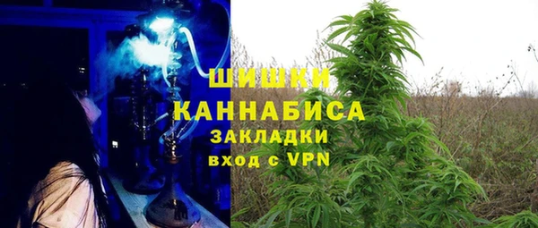 гашик Алзамай