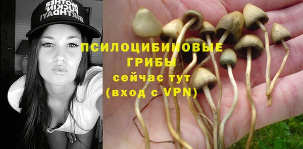 молекула духа Бикин