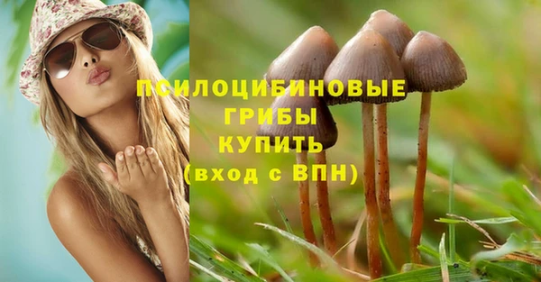гашик Алзамай