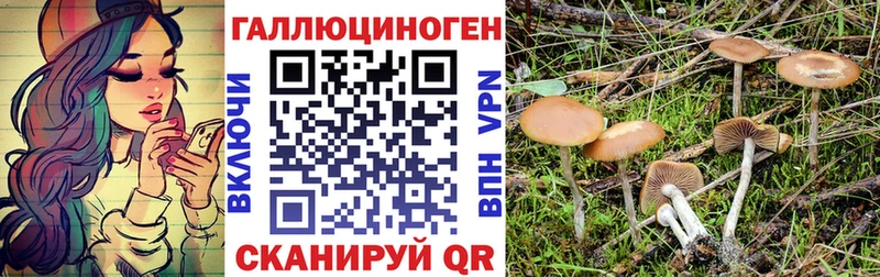 Галлюциногенные грибы Psilocybine cubensis  Чайковский 